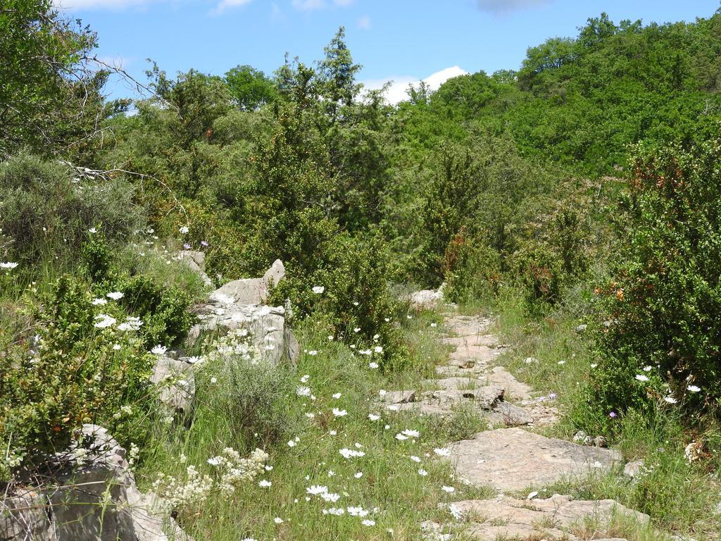 La Nichoule Rosières Exterior foto
